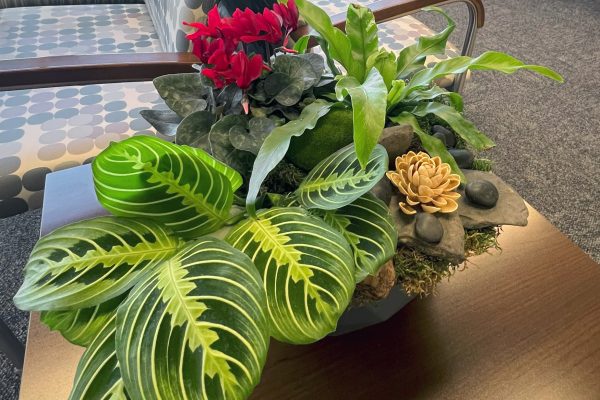 Spring Living Art Bowl on Reception Desk