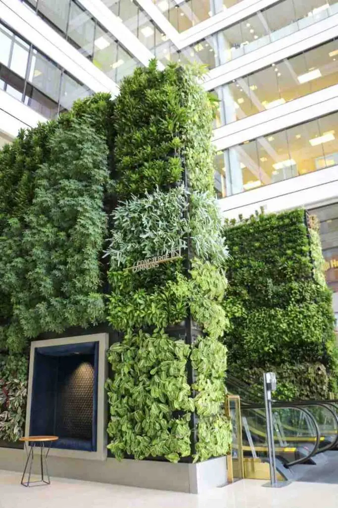 Indoor living wall with lush greenery enhancing modern office design in Columbus, OH