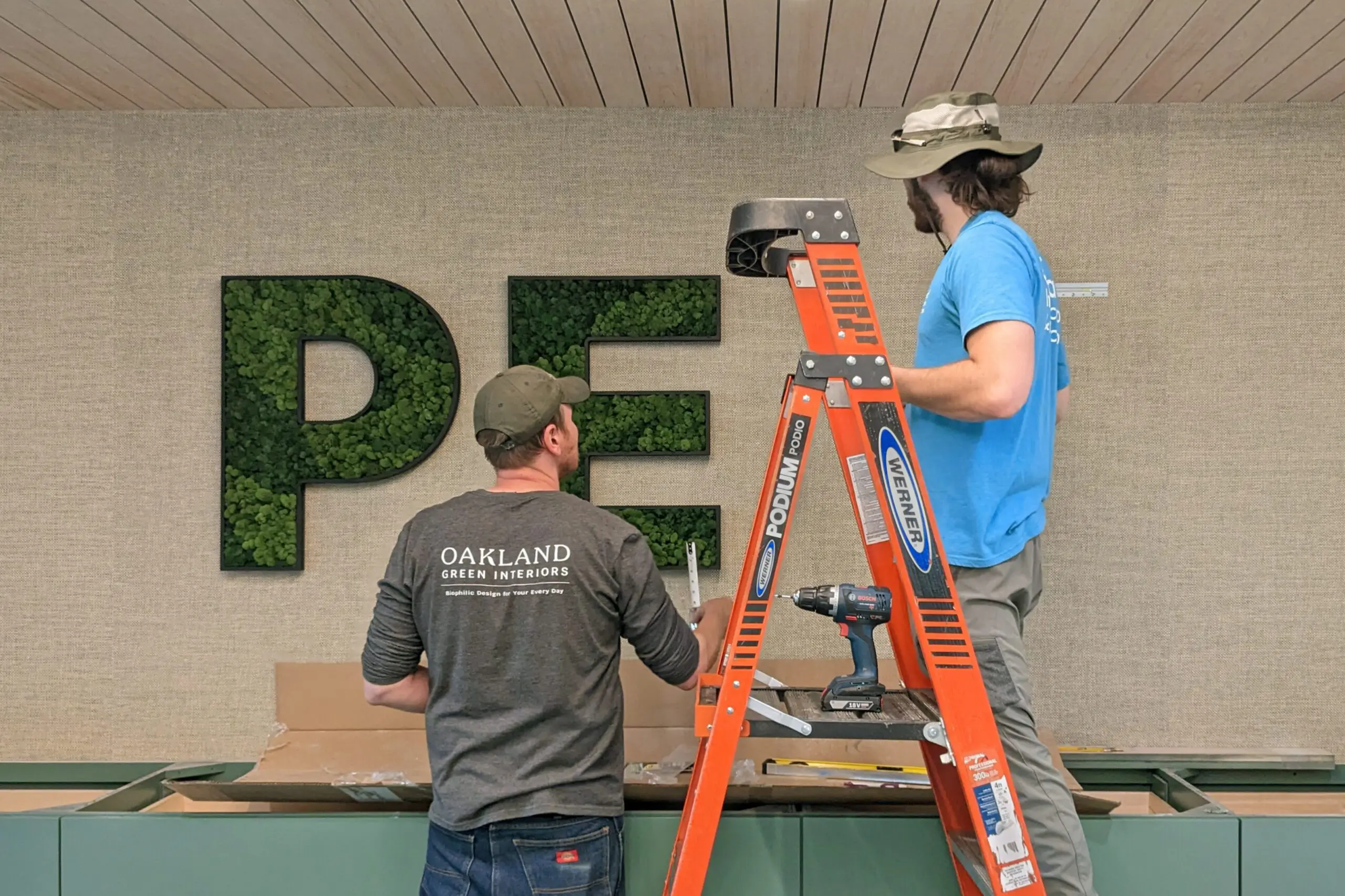 Installation of moss wall art showcasing creative biophilic design in Columbus, OH