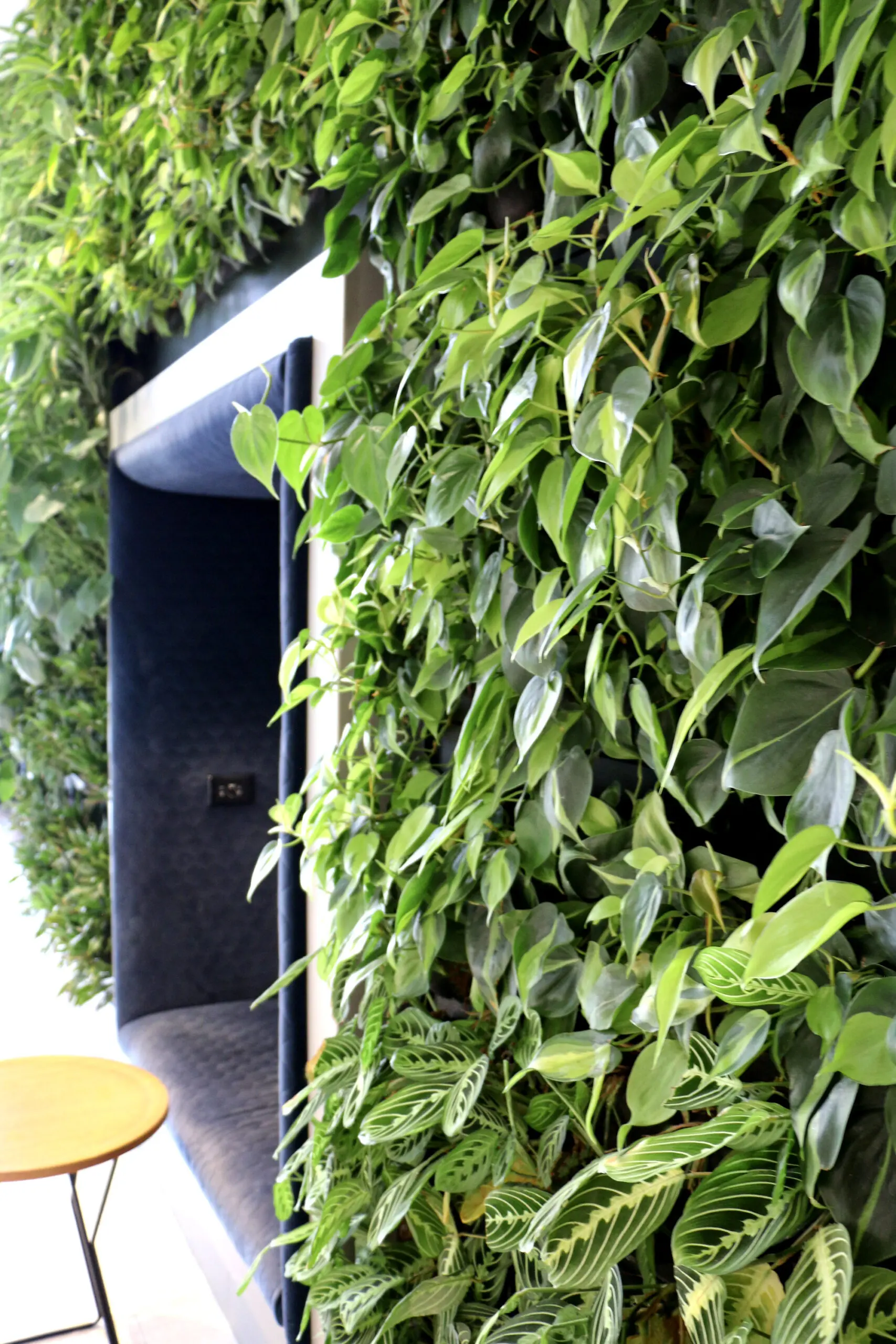 Huntington Center living wall design by Oakland Green Interiors