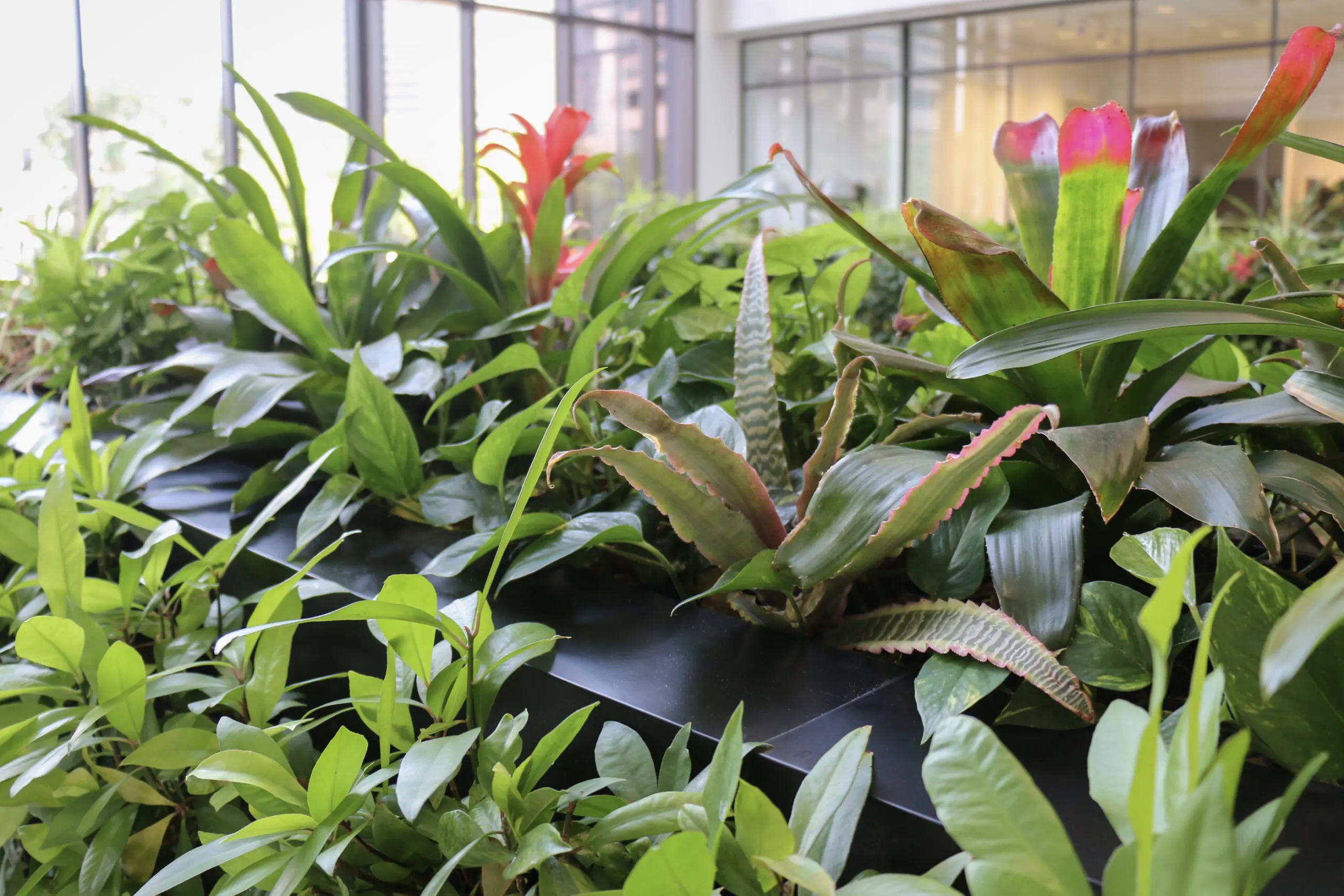 Huntington Center vertical garden with lush greenery in Columbus, OH