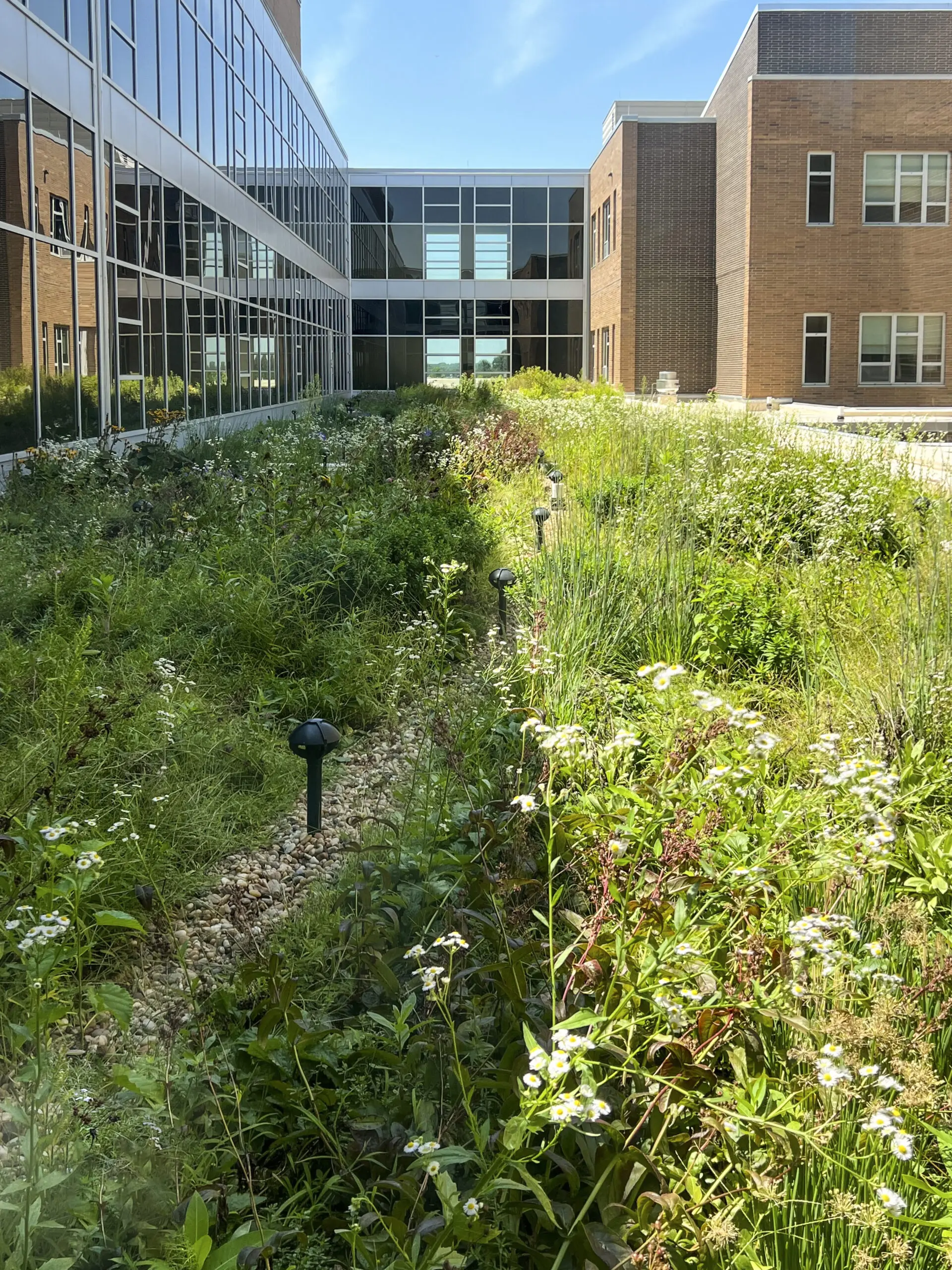 2024Summer.DublinMethRooftop.04