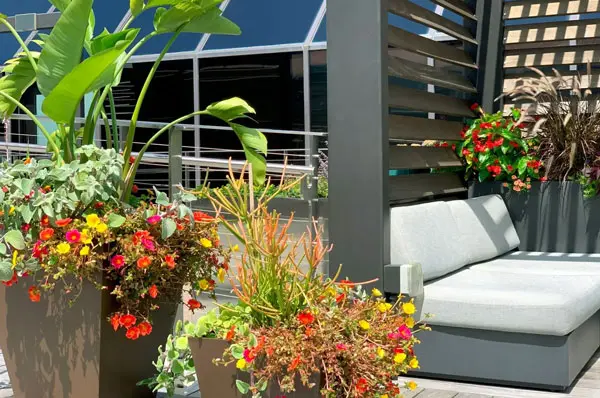 Exterior plants with carefully arranged artificial plants in Columbus, OH