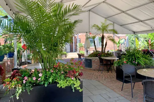 Decorated Exterior space with lush green plants in Columbus, OH