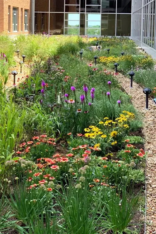 Rooftop patio with seating and plants in Dublin Methodist project, Columbus, OH
