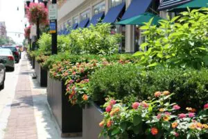 Exterior artificial plants on a wall, showcasing unique exterior plant design in Columbus, OH