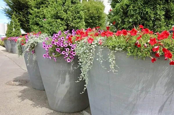 Exterior artificial plants in pots, designed for a house exterior in Columbus, OH