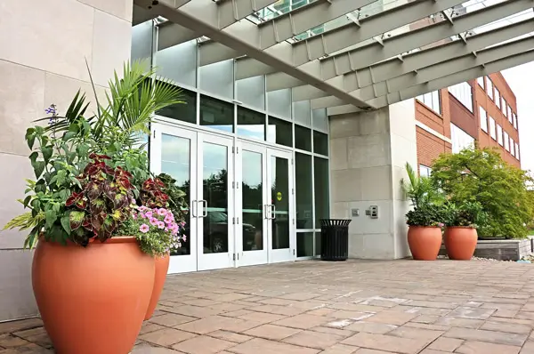 Exterior wall with a variety of artificial plants in Columbus, OH