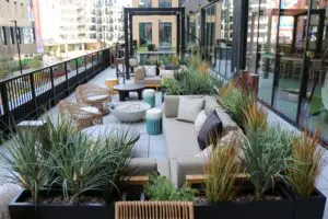 Unique interior transformation in Columbus, OH, with plant-inspired styling.