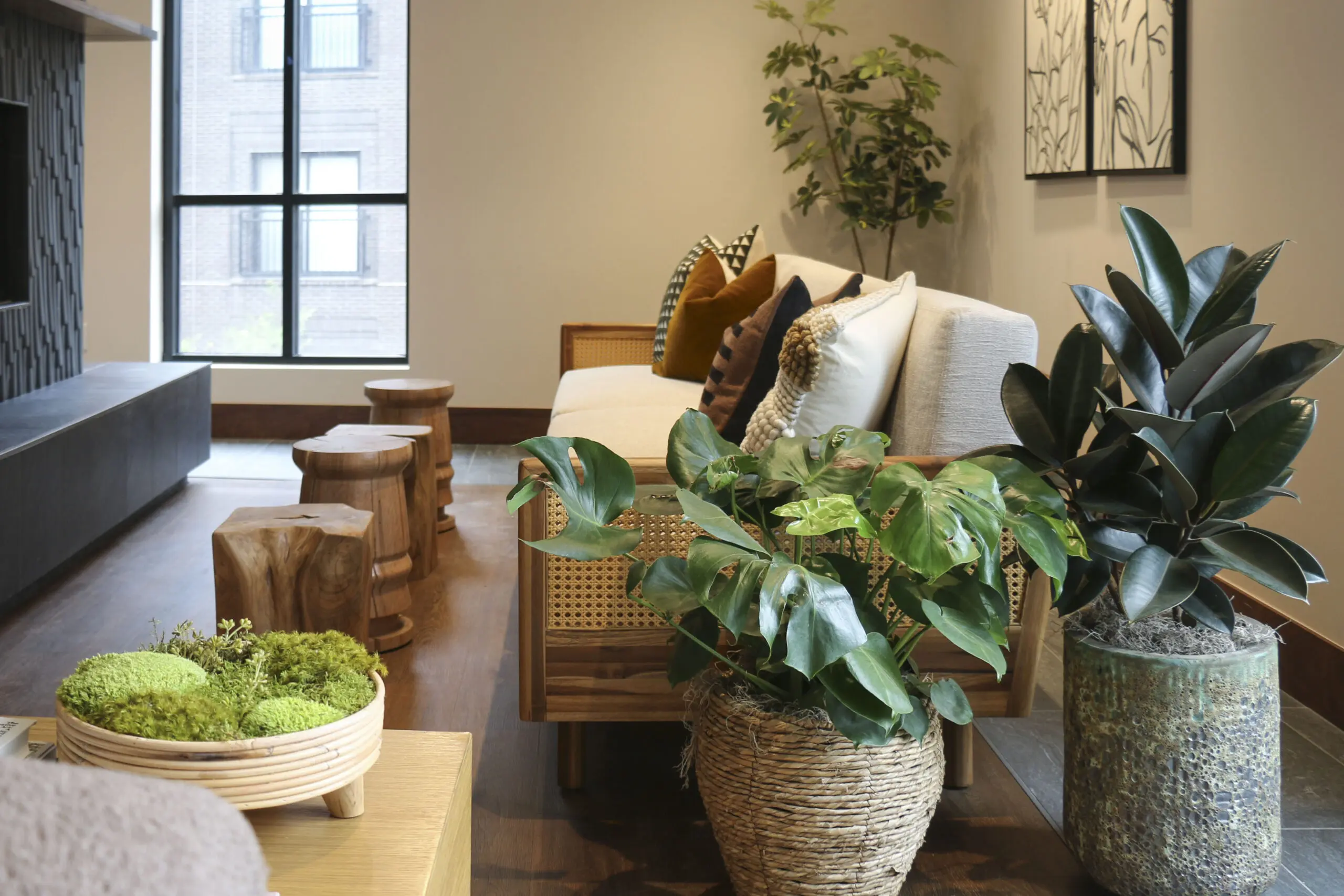 Live plants in an apartment amenity space