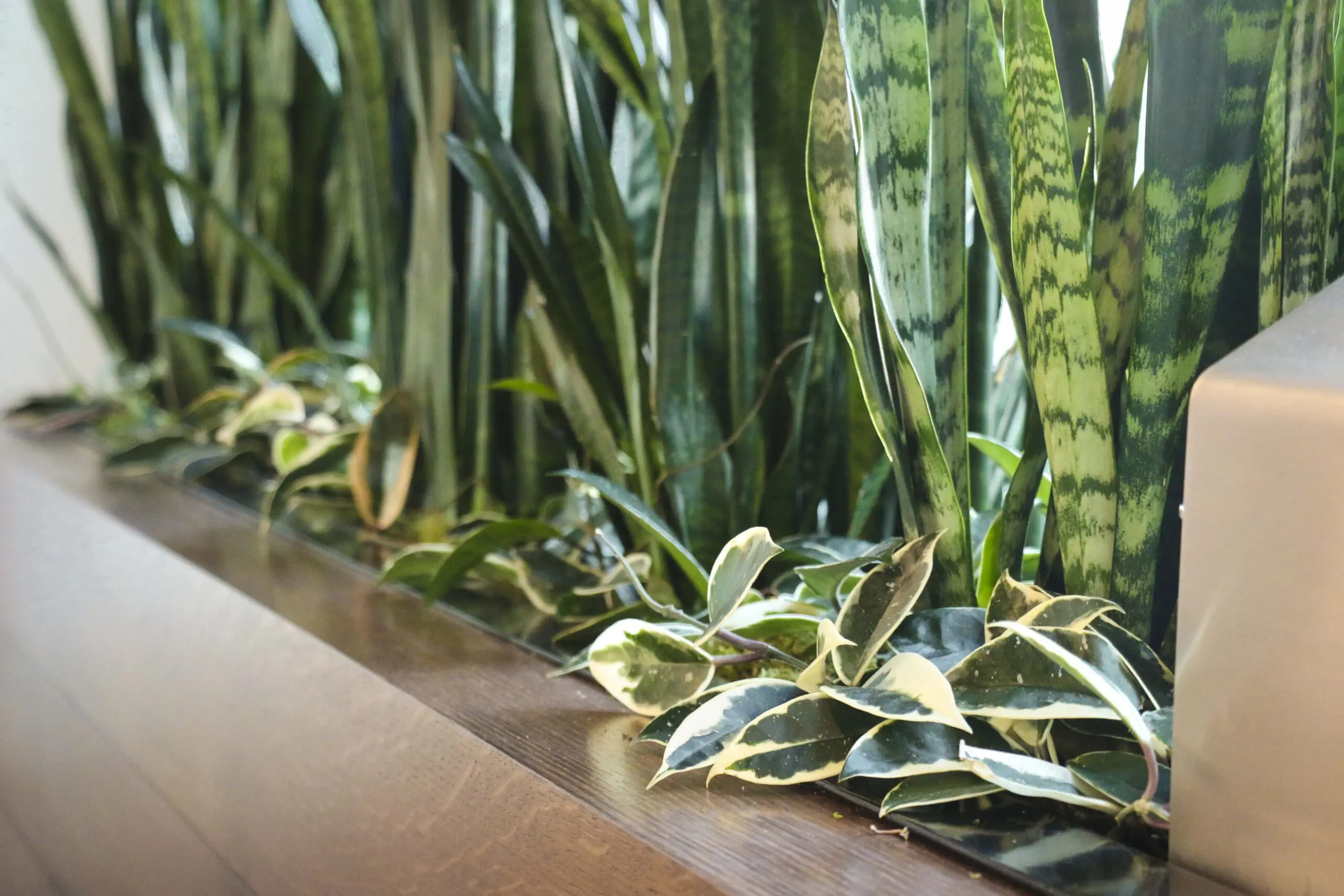 White Castle HQ workspace with biophilic design by Oakland Green Interiors