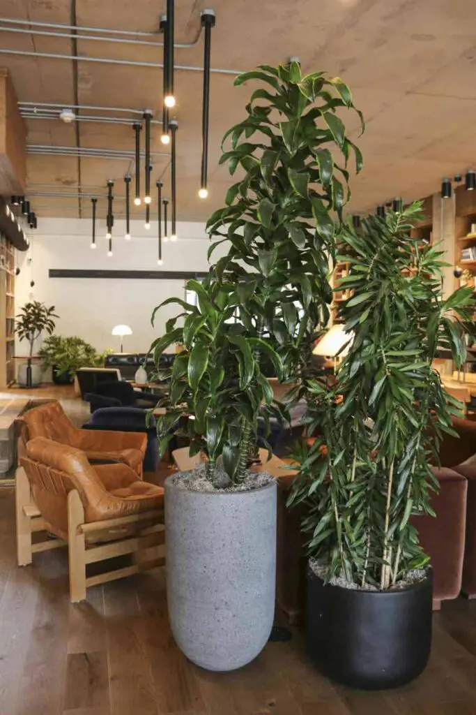 Modern living room with neutral tones and textured wall in the Junto project, Columbus, OH