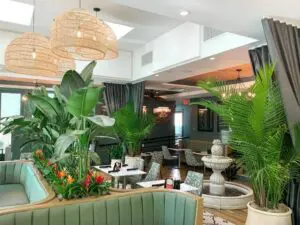 Stunning Plant Designs at the Restaurant