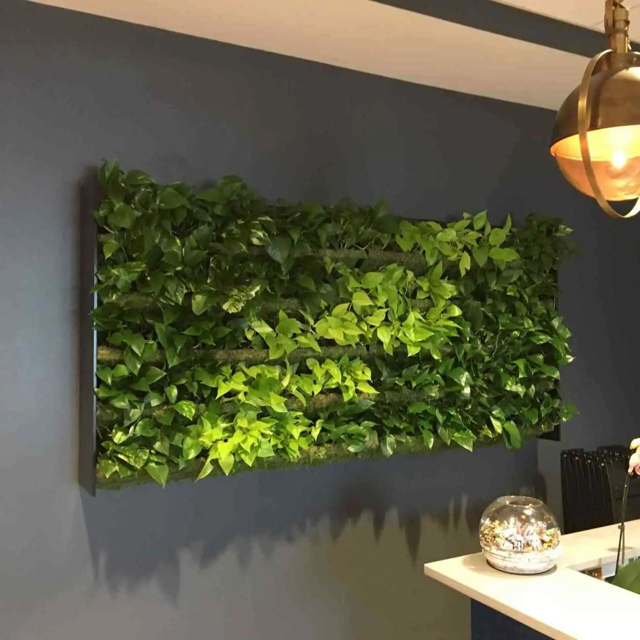 Indoor living green wall installation enhancing texture in a modern commercial space, Columbus, OH