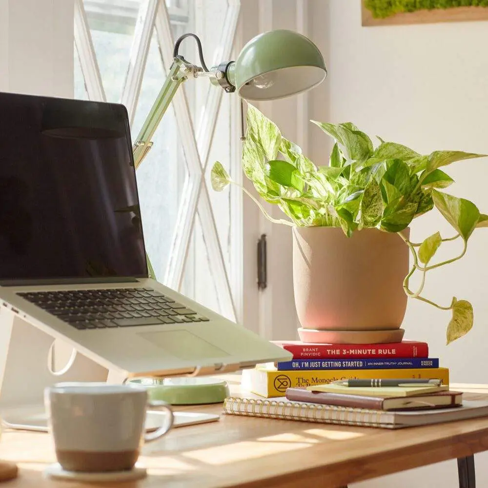 Desk planter and greenery styling in modern commercial interior workspace in Columbus, OH