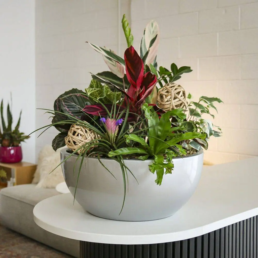 Living art plant arrangement designed into modern interiors, Columbus, OH