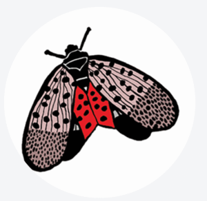 Illustration of a bee integrated into a biophilic design concept at Oakland Green Interiors