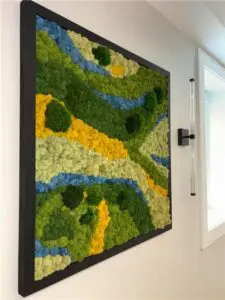 Indoor planter arrangement enhancing office aesthetics by Oakland Green Interiors
