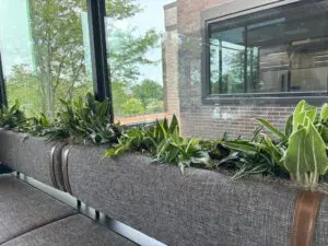 Bench seating area complemented by greenery for biophilic design appeal in Columbus, OH
