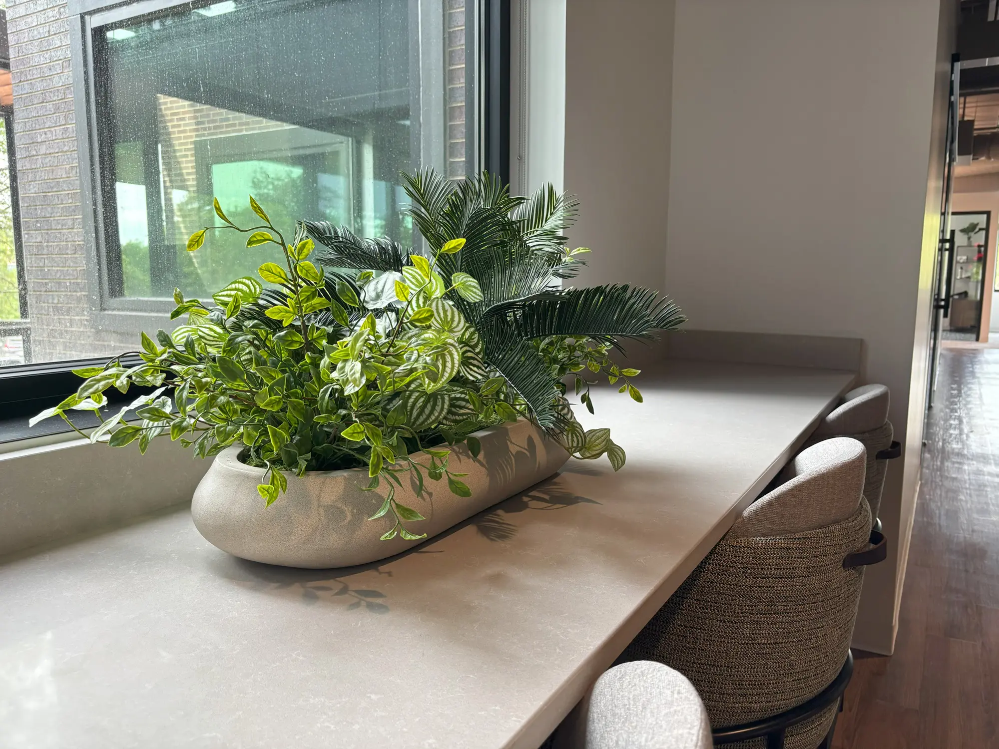 Tabletop planter with lush greenery that adds biophilic design to a workspace in Columbus, OH