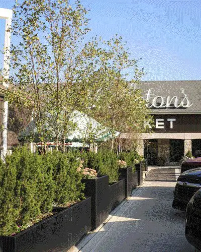 Exterior view featuring decorative plants and greenery in Columbus, OH