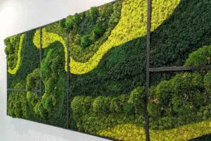 Interior space featuring a moss wall and lush greenery in Columbus, OH