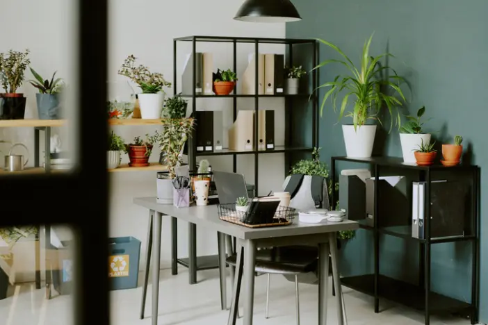 Biophilic Design in the Workplace