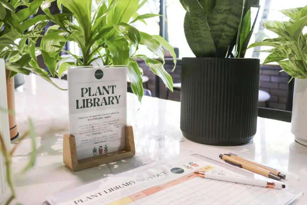 plant library display with small plants in desk-sized containers
