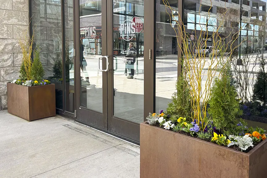 Entryway Containers planted up with spring.
