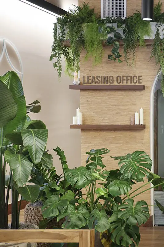 Live and artificial plants in leasing office space.