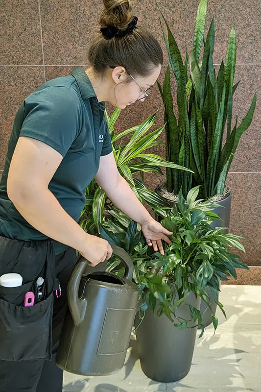 Watering Plant Maintenance technicians in Columbus, OH