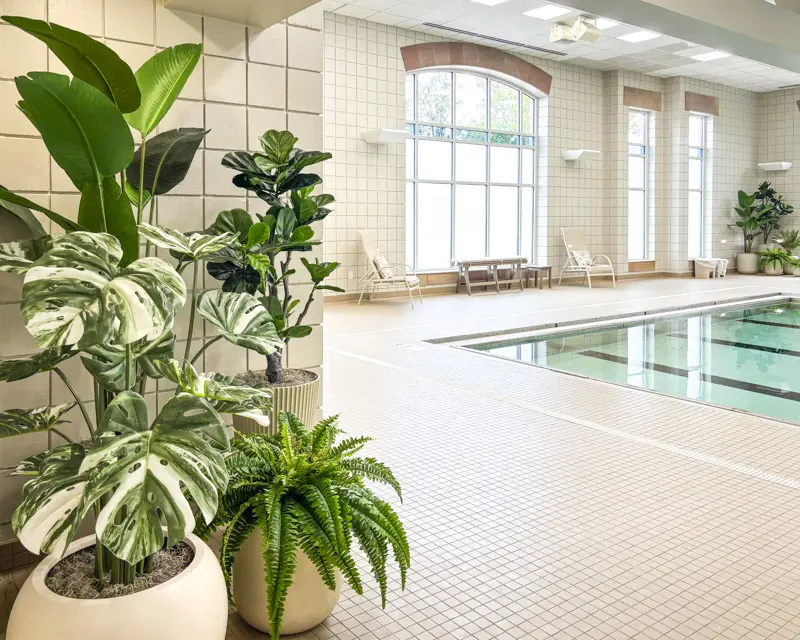 Artificial plants in an indoor pool space in Columbus.
