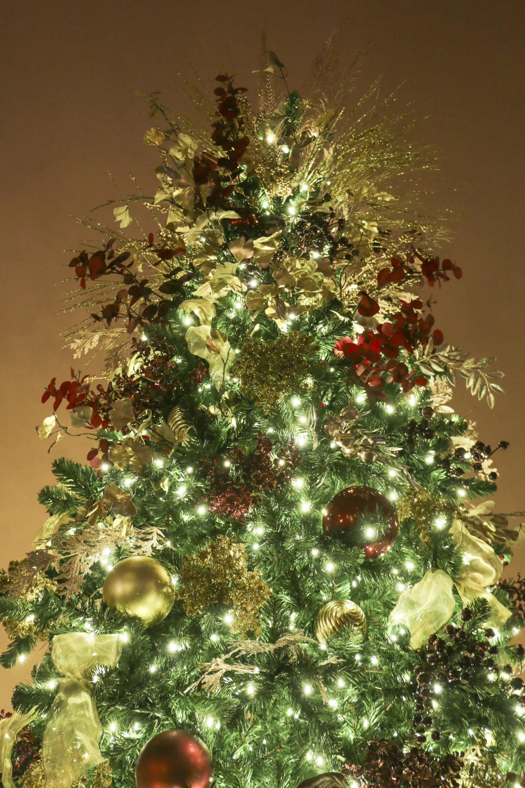 Copy of Holiday2025.OhioStatehouse.12
