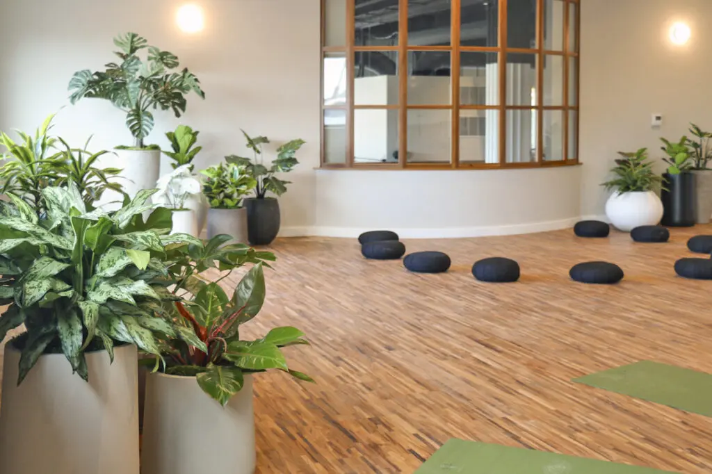 Yoga space with live and artificial plants in Columbus, Ohio.