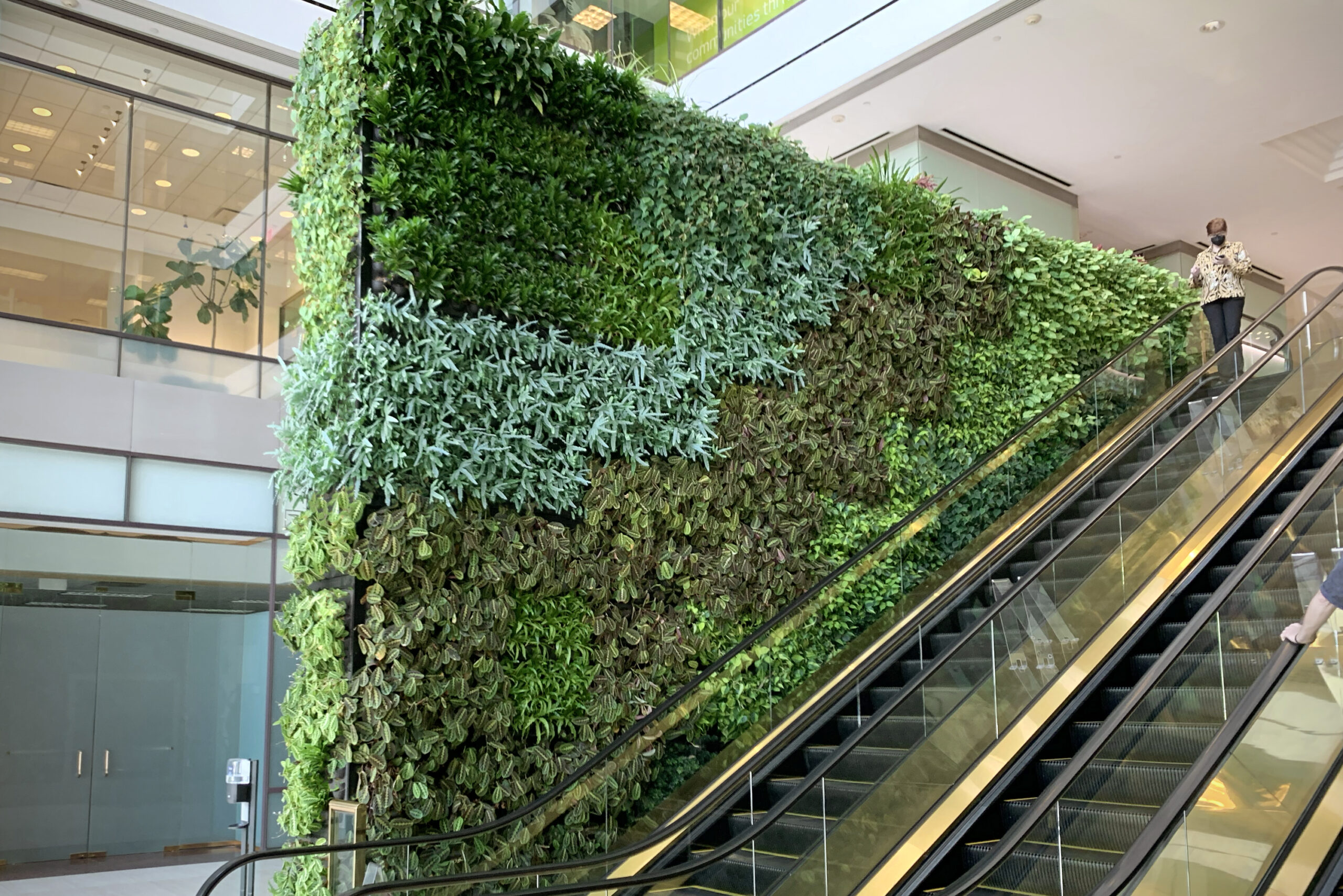 A living plant wall at the Huntington Center in Columbus, Ohio