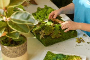 Creating moss art in Columbus, Ohio