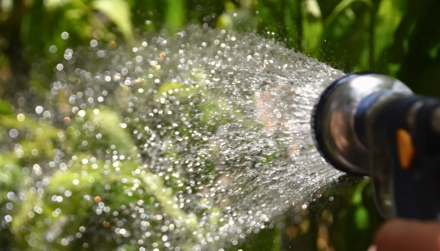 Exterior Plant Watering with Hose