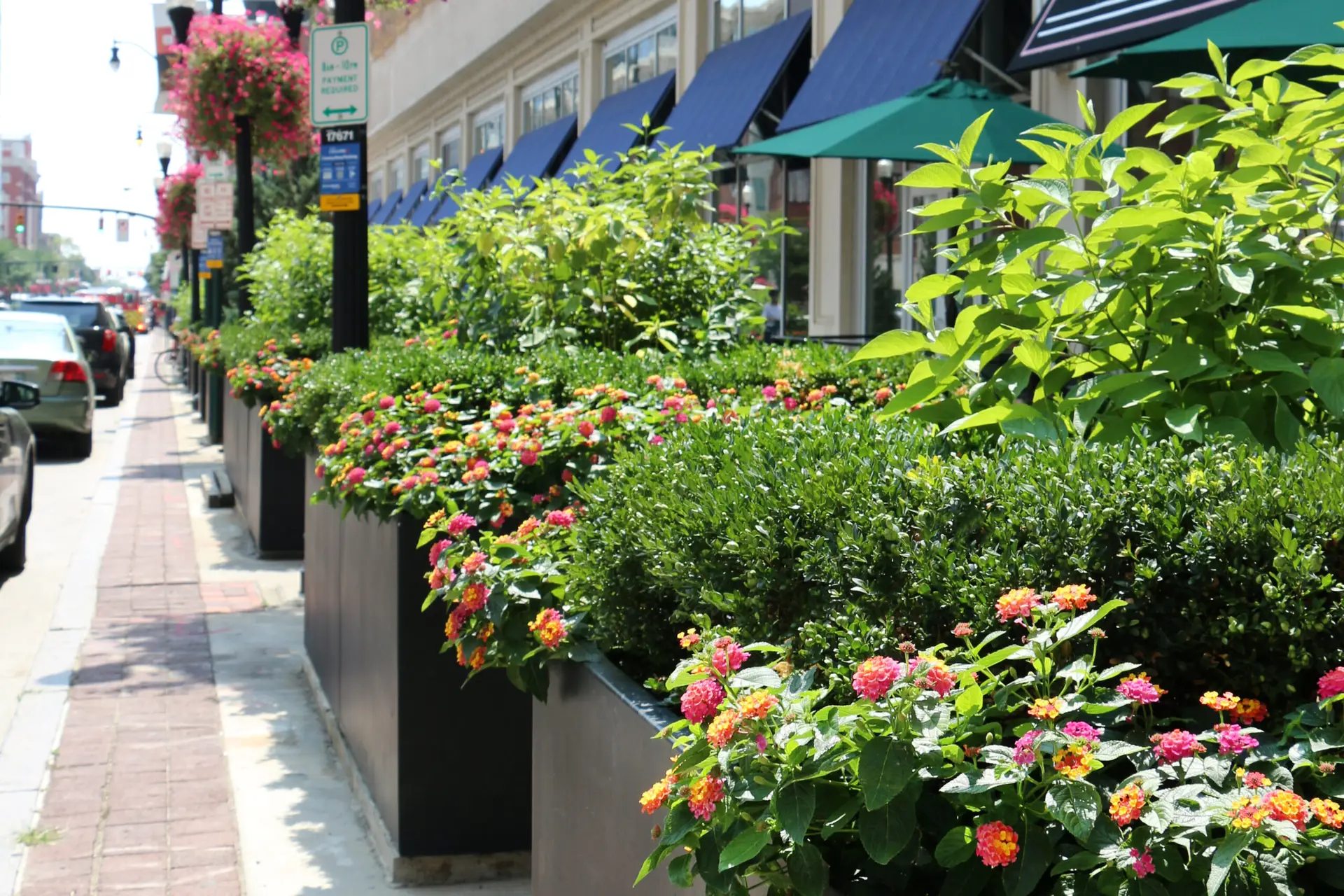 Elegant Plantscapes in Entryways bring sophistication to roads in Columbus, OH.