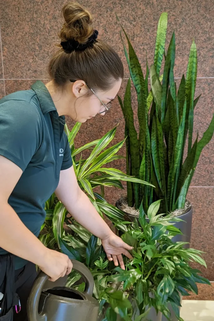 Plant watering service nurturing green spaces in Columbus, OH, with care and expertise