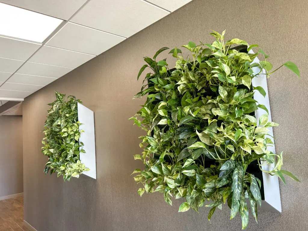 Vertically Designed Green Walls
