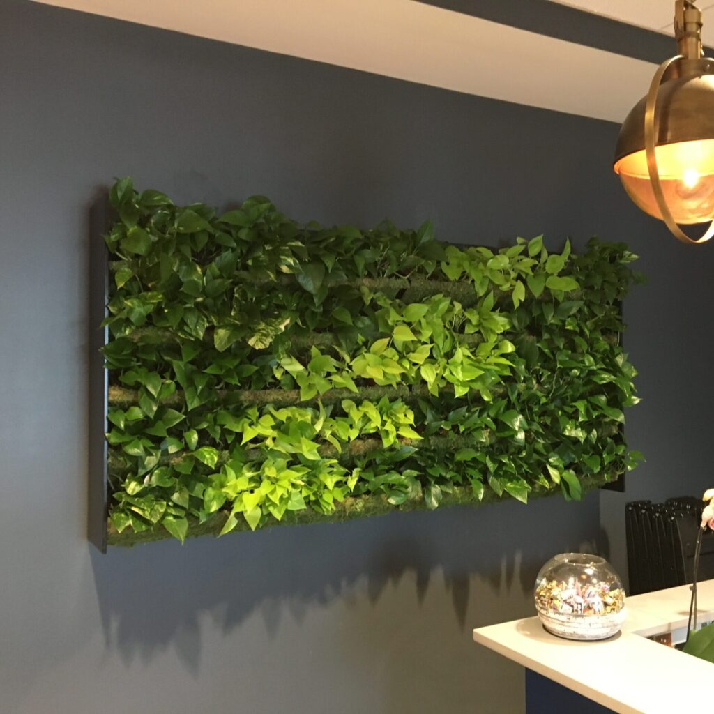 Living green wall in Columbus, Ohio