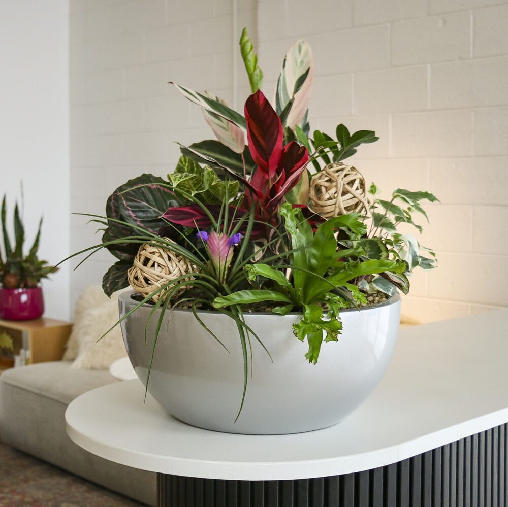 Colorful Living Art bowl on a reception desk.