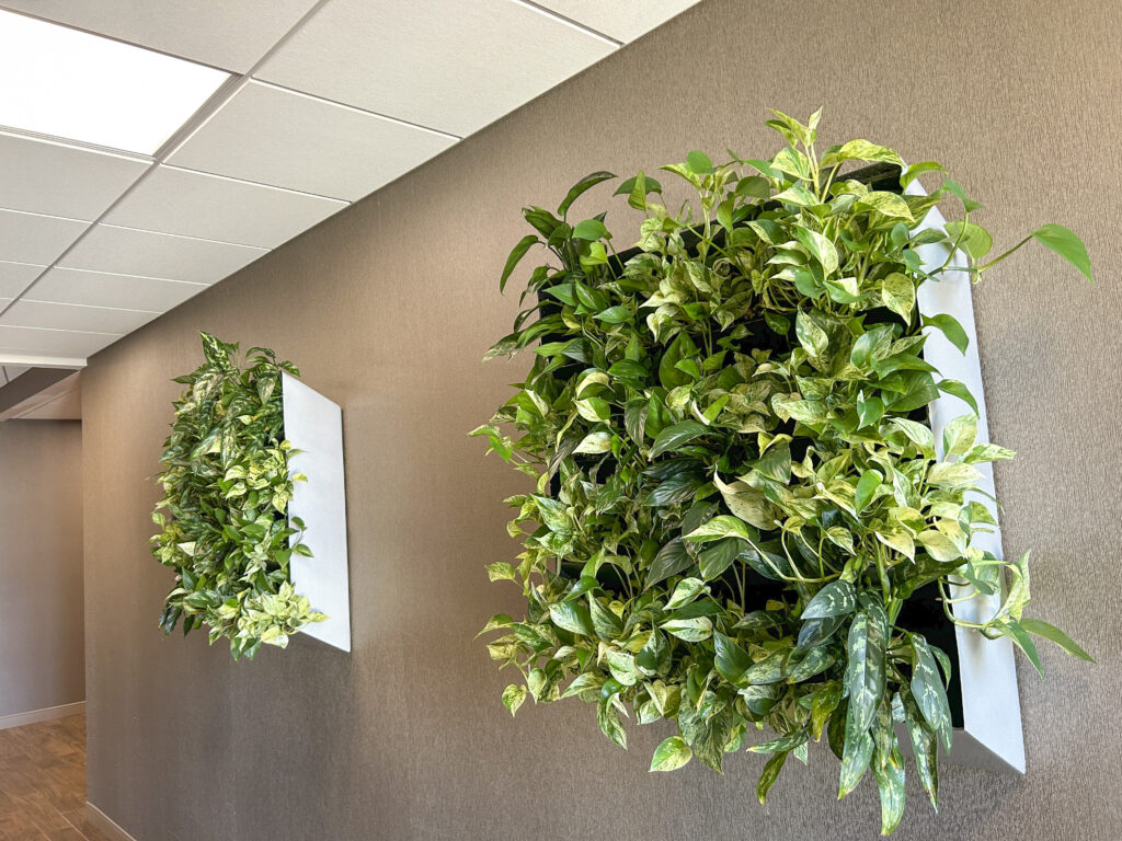 Living Plant Walls in Columbus, OH.