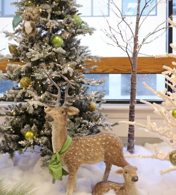 2023.Riverside.webcrop4x5.reduced