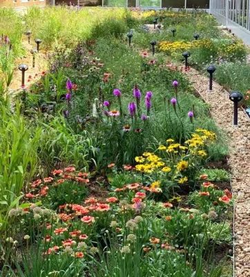 Beautiful rooftop garden.